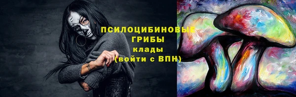 героин Алексин