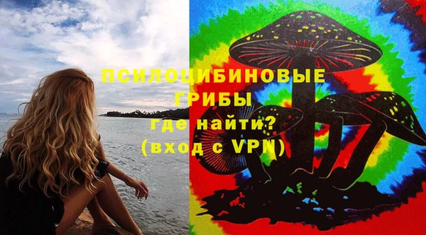 героин Алексин